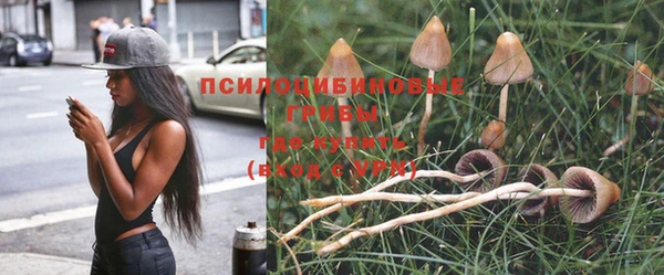 первитин Аркадак
