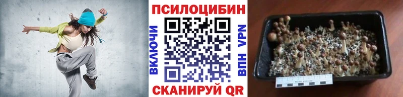 Галлюциногенные грибы GOLDEN TEACHER  как найти закладки  Усинск 